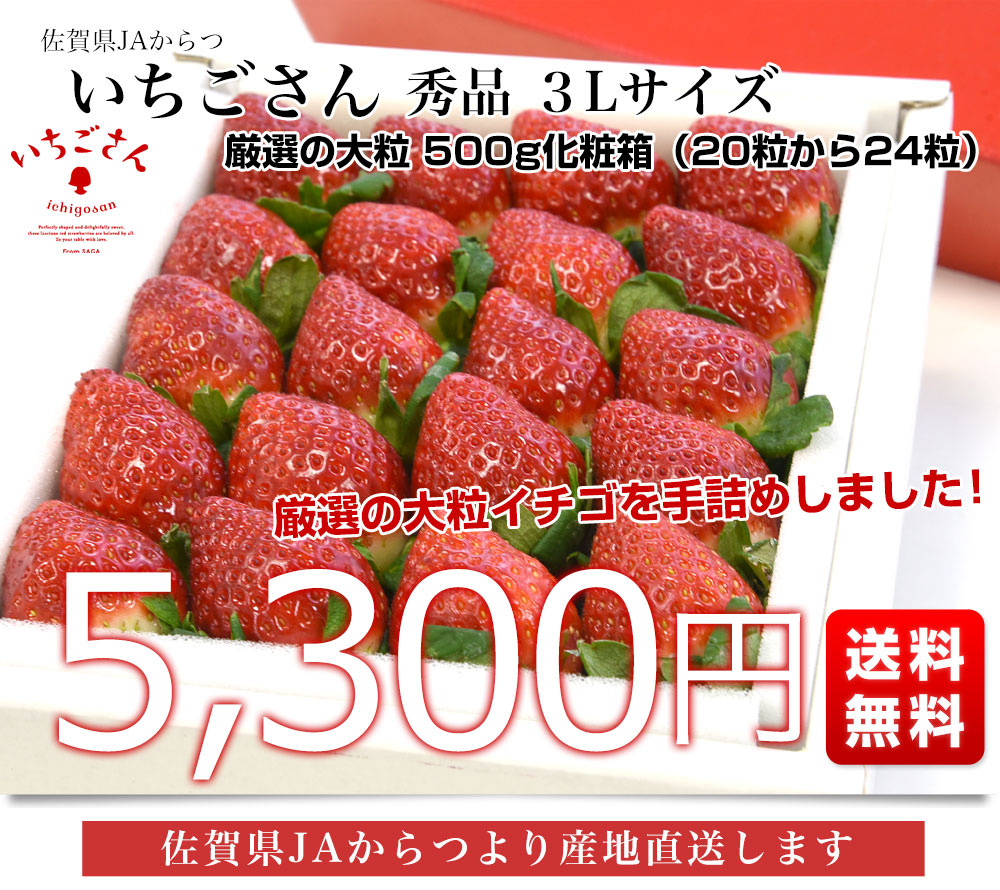 佐賀県より産地直送 JAからつ 新品種いちご いちごさん 秀品 ３Lサイズ