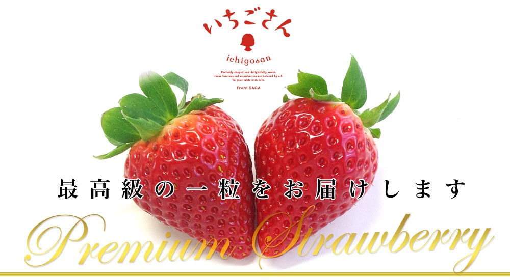 佐賀県より産地直送 JAからつ 新品種いちご いちごさん DX 450g 15粒