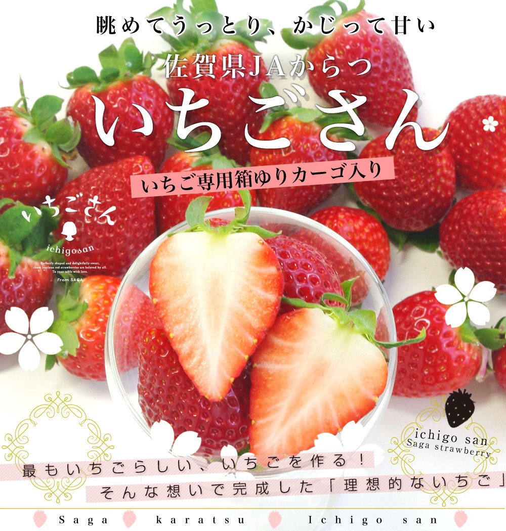 佐賀県より産地直送 JAからつ 新品種いちご いちごさん DX　450g 15粒から18粒 苺専用箱ゆりカーゴ入り 送料無料 いちごサン 唐津  うまかもん