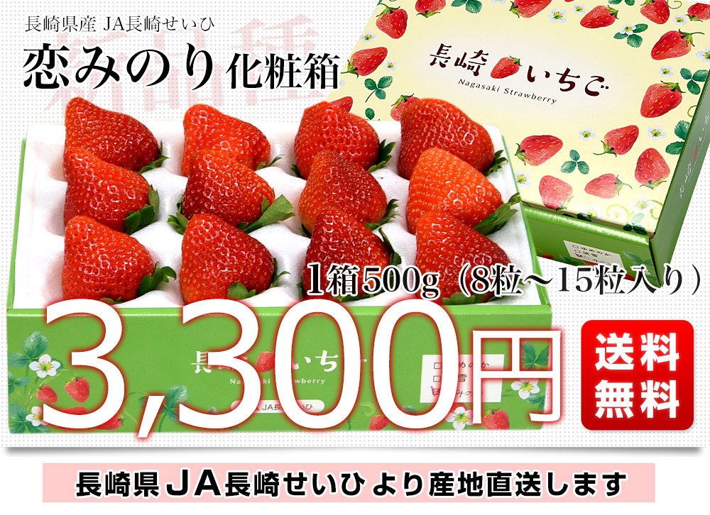 長崎県より産地直送 JA長崎せいひ 期待の新品種いちご「恋みのり」 500g化粧箱（8粒から15粒入） 送料無料 苺 イチゴ こいみのり 長崎西彼農協