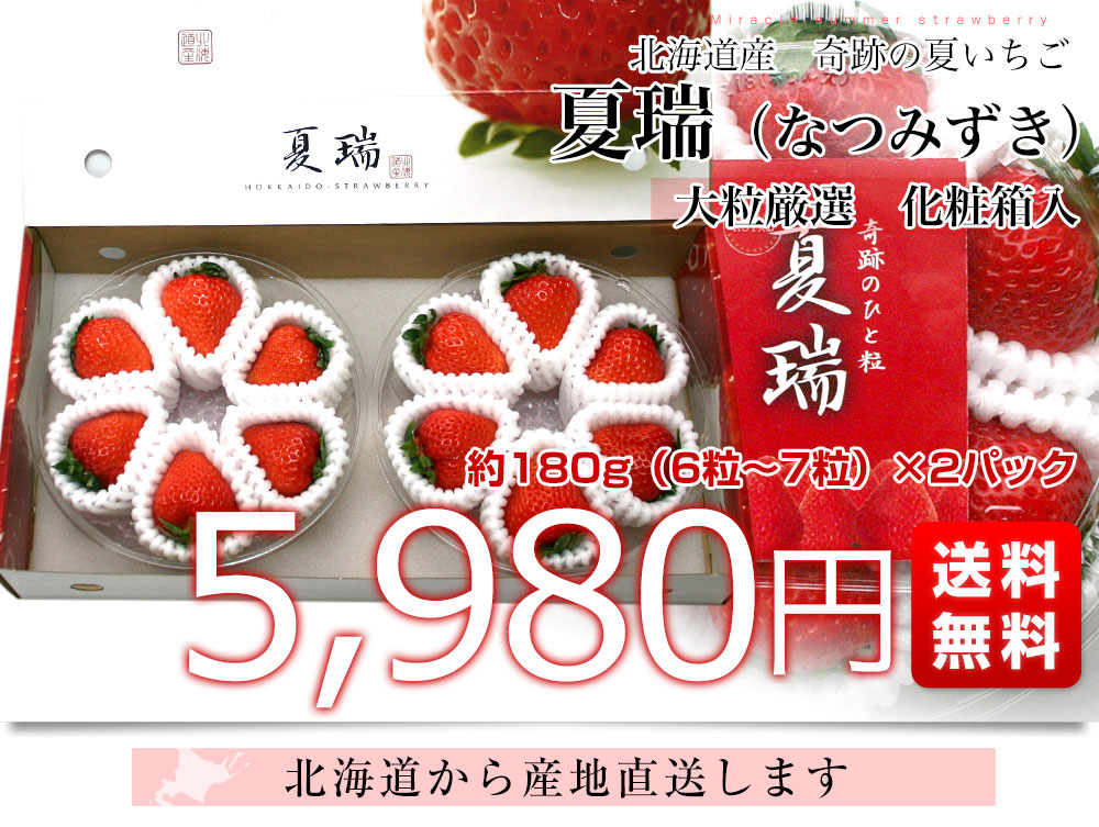 北海道より産地直送 高級いちご 夏瑞（なつみずき）約180g（6粒から7粒）×2パック 化粧箱入り イチゴ 苺 夏イチゴ :8001552613:産直だ より - 通販 - Yahoo!ショッピング