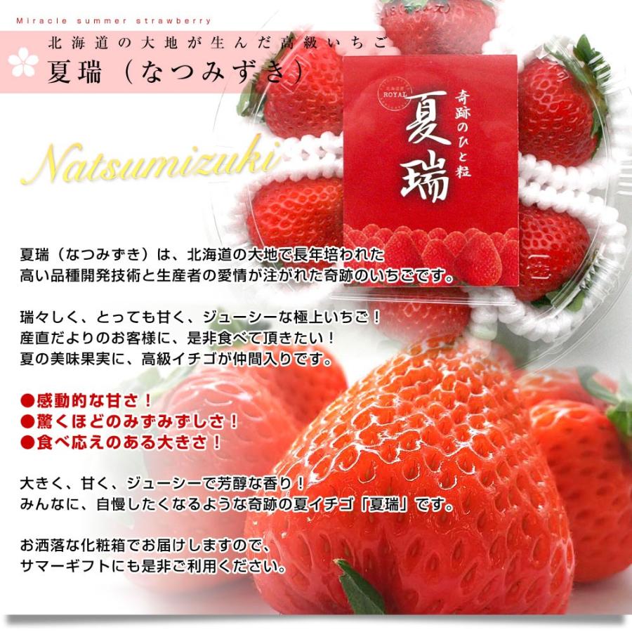 北海道より産地直送 高級いちご 夏瑞（なつみずき）約180g（6粒から7粒）×2パック 化粧箱入り イチゴ 苺 夏イチゴ いちご 