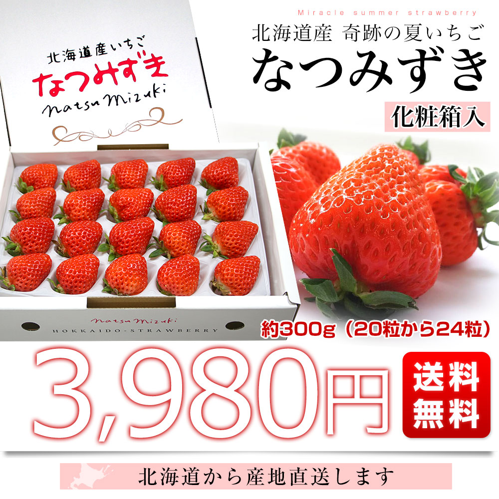 北海道より産地直送 高級いちご なつみずき 約300g（20粒から24粒