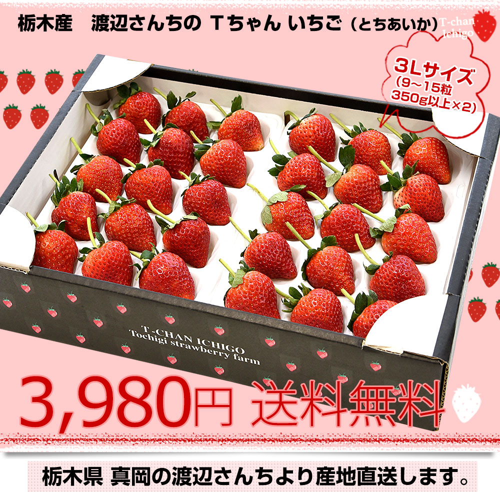 栃木県より産地直送 渡辺さんちのTちゃんいちご(とちあいか) 350g以上 