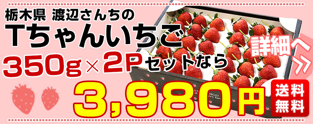 350×2pセット