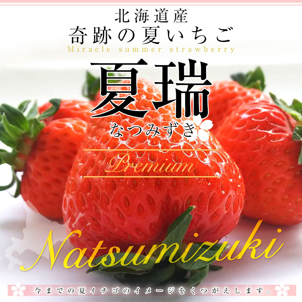 かわいやいちご③ ミニ苺がま口折財布_JW-0547 | sunny side(サニーサイド)