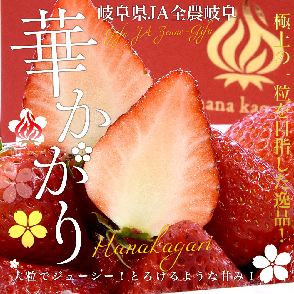 盛りだく苺&お花たち＊サーモスカバー/プックリ苺&お花ブローチ2ヶ＊縦長ポーチ Amazon | ブローチ いちご かわいいフルーツのバッジ 合金製