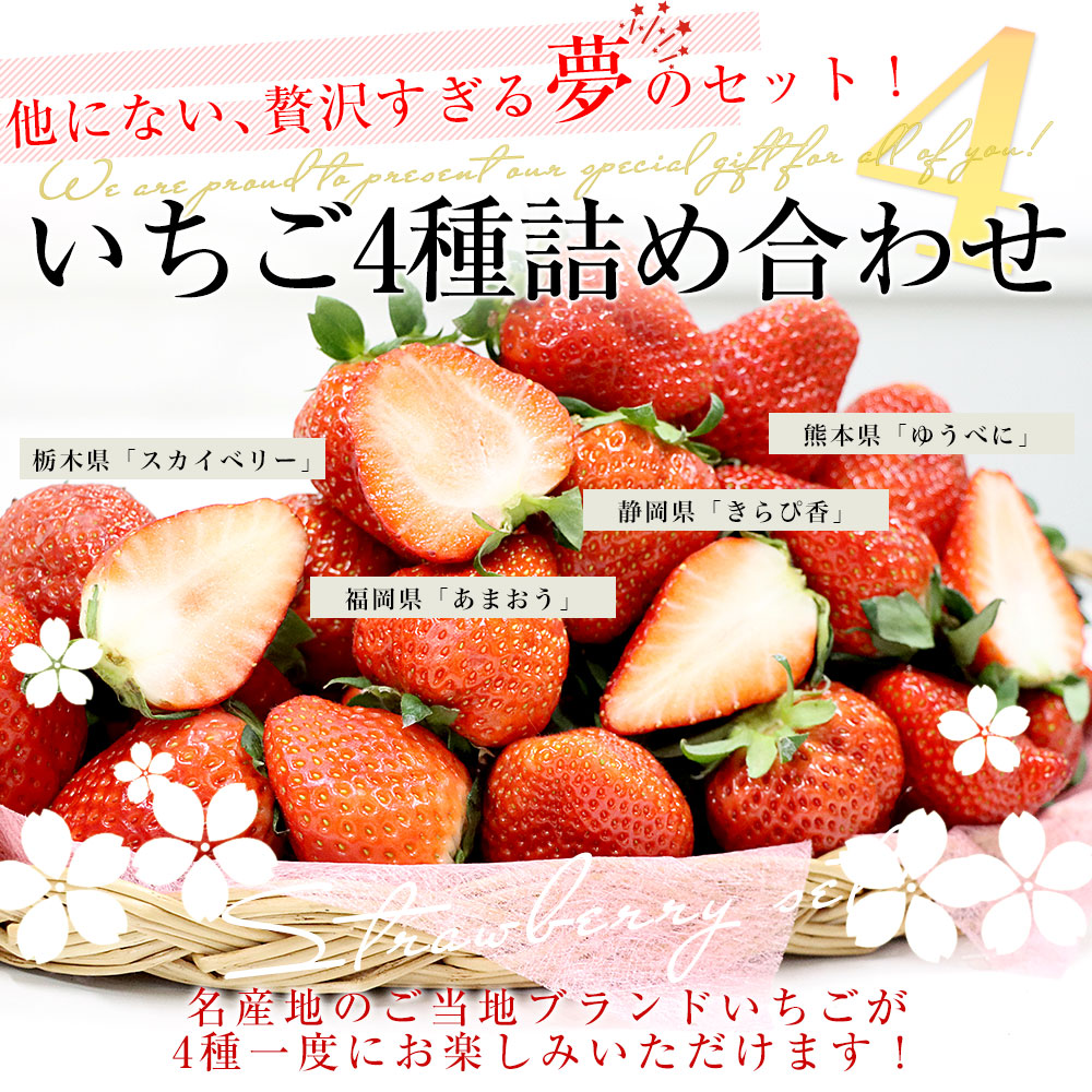 いちご4種詰合せ 合計約1キロ【福岡県 あまおう 約270g&静岡県 きらぴ 