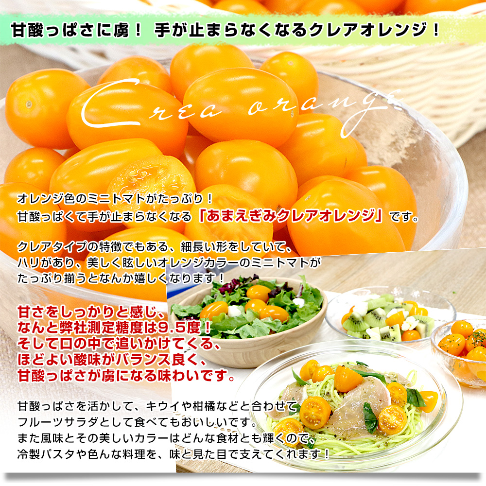 愛知県 JA豊橋  選べるあまえぎみクレアミニトマト 各種約1キロ（レッド、イエロー、オレンジ、グリーン） 送料無料 ミニトマト とまと 高糖度ミニトマト |  | 07