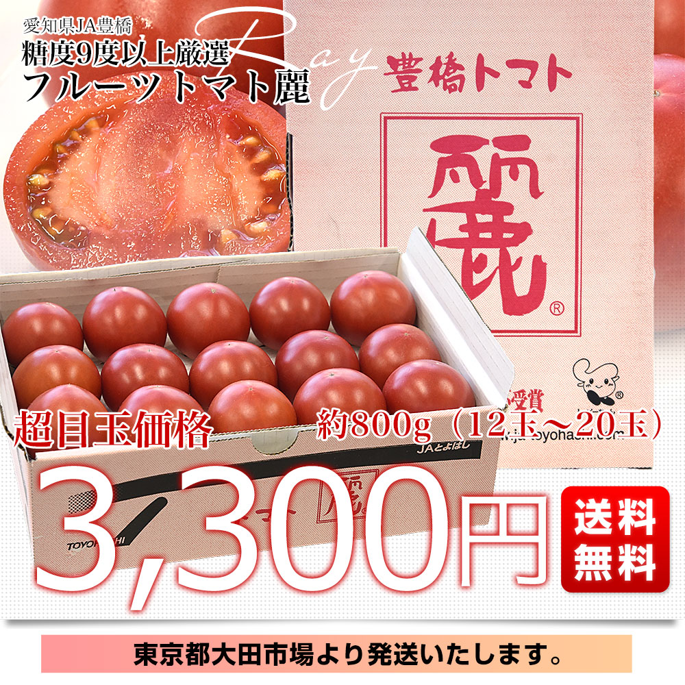 愛知県 JA豊橋 フルーツトマト 麗 約800g (12玉から20玉) 送料無料