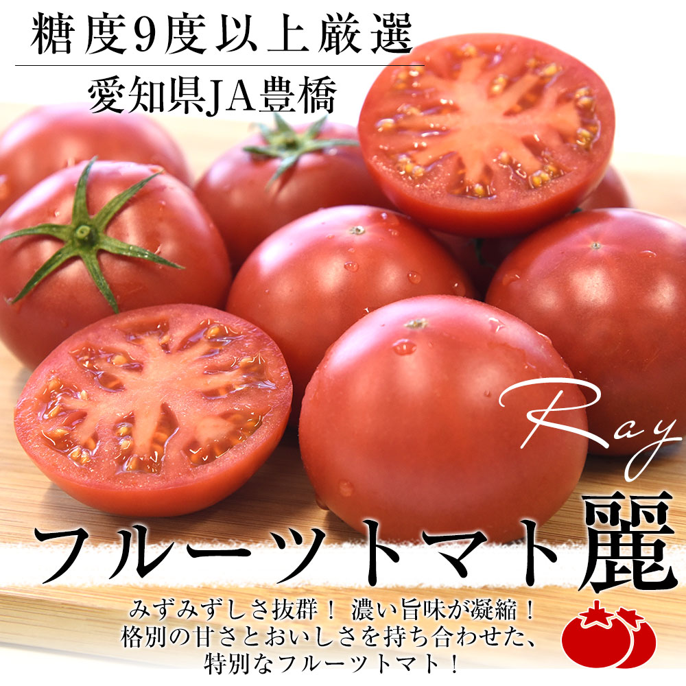 愛知県 JA豊橋 フルーツトマト 麗 約800g (12玉から20玉) 送料無料