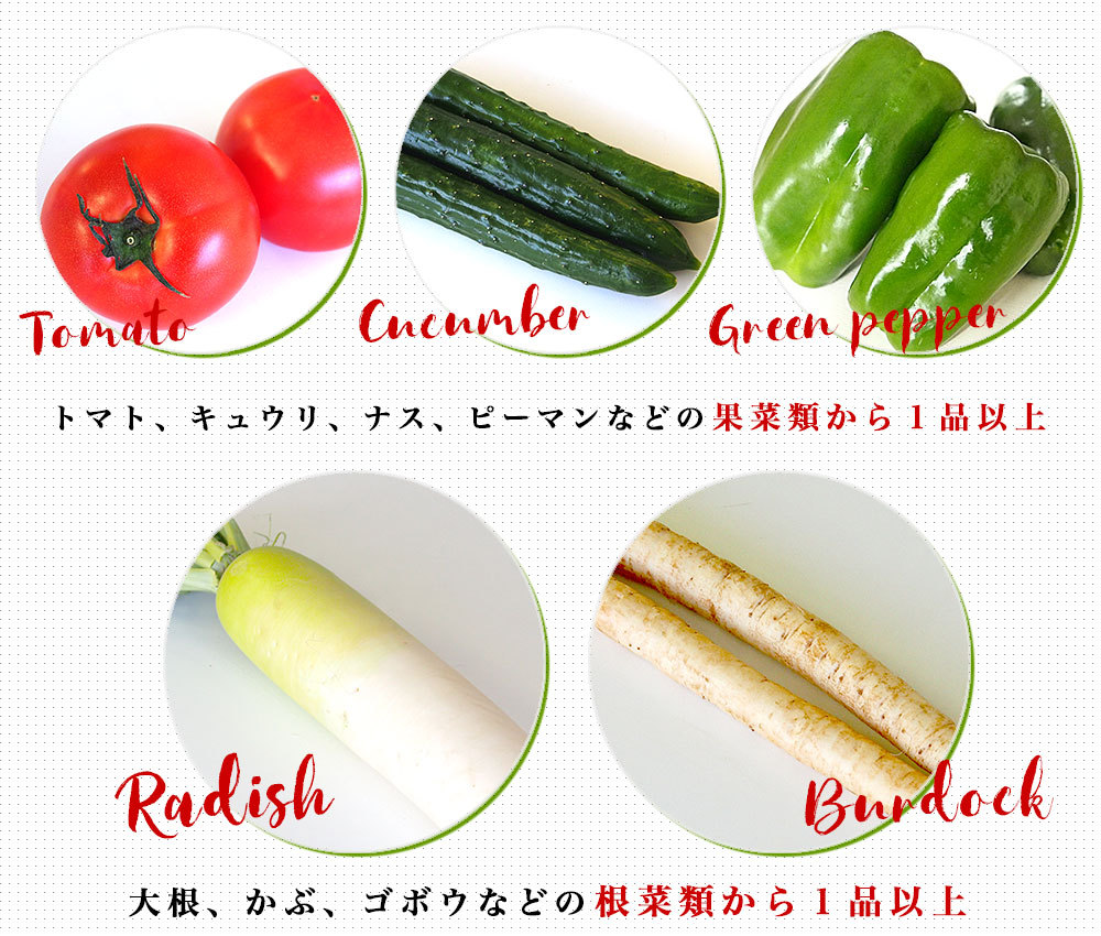 国産おまかせ野菜１０品セット※キャベツ、レタス、ほうれん草、小松菜 
