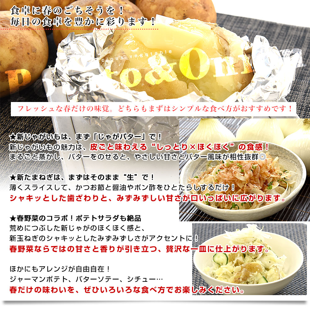 鹿児島県産 新じゃがいも＆熊本県産 新たまねぎセット 約2.5キロ×2箱