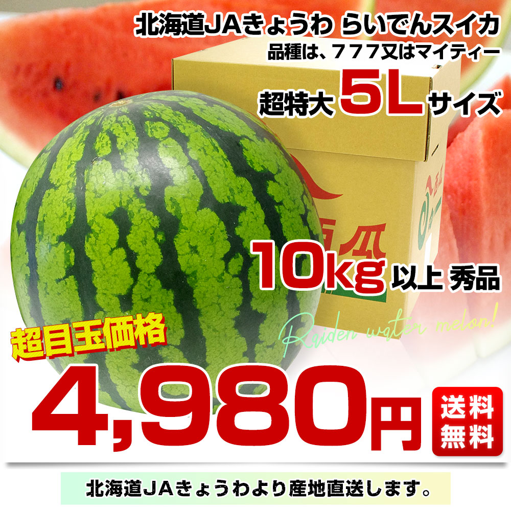 北海道より産地直送 JAきょうわ らいでんスイカ 超特大 秀品5Lサイズ