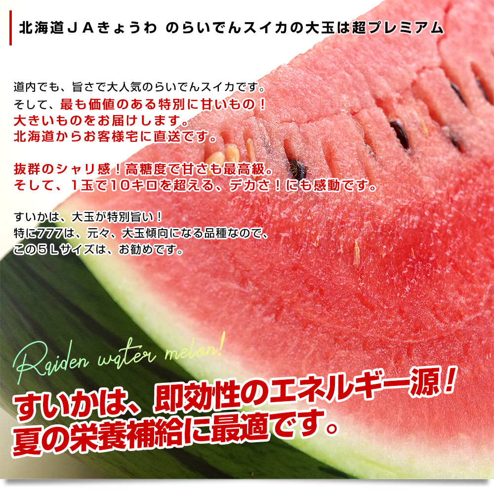 北海道より産地直送 JAきょうわ らいでんスイカ 超特大 秀品5Lサイズ