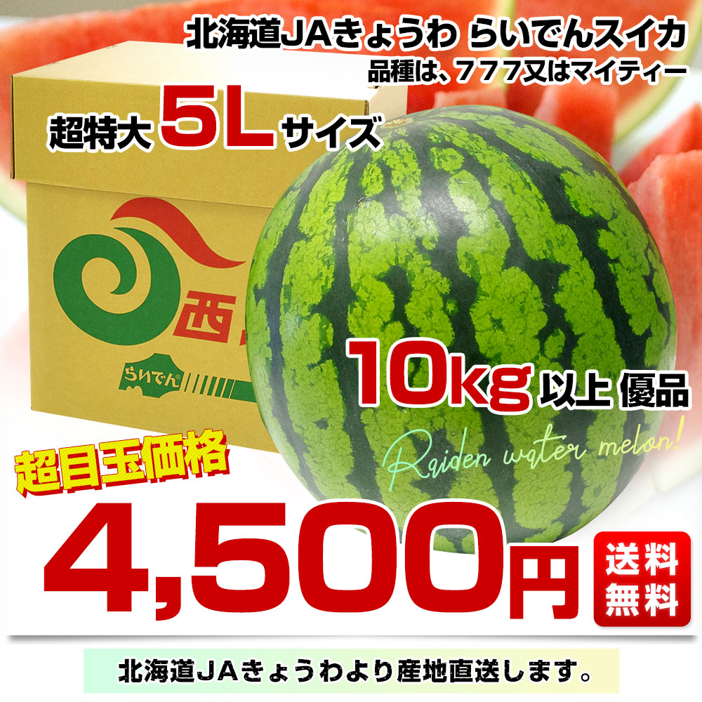 北海道より産地直送 JAきょうわ らいでんスイカ 超特大 優品5Lサイズ