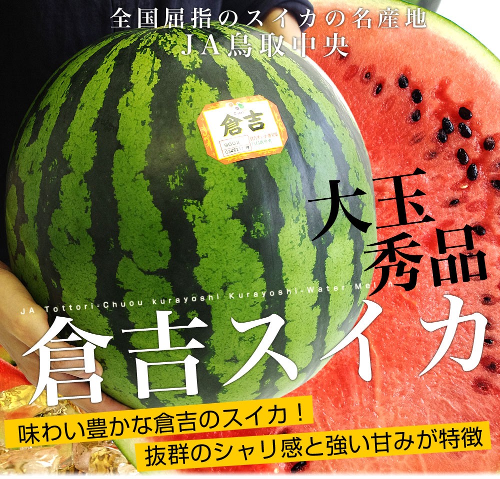 鳥取県産JA鳥取中央 倉吉スイカ 秀品 大玉4Lサイズ 9キロ以上 1玉 西瓜