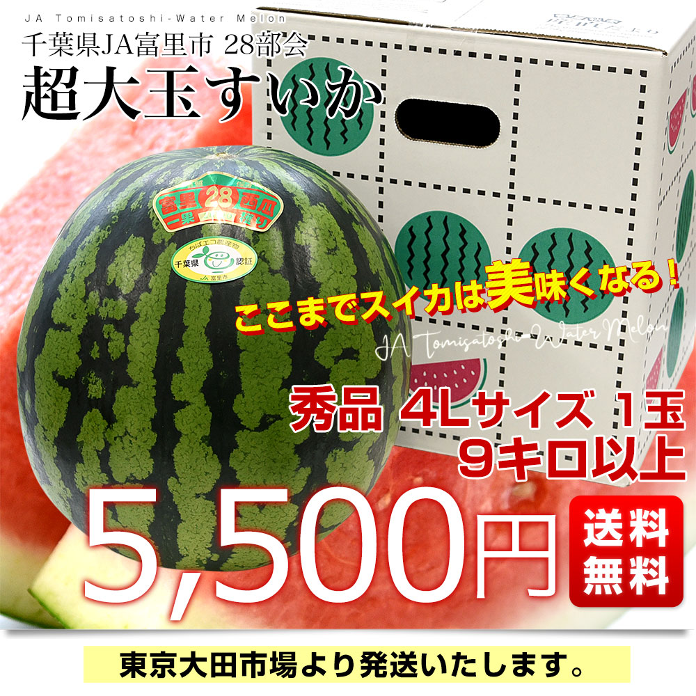 千葉県　JA富里市西瓜部28部会　大玉すいか（紅大）9キロ以上　4Lサイズ　1玉　送料無料　スイカ　すいか　西瓜