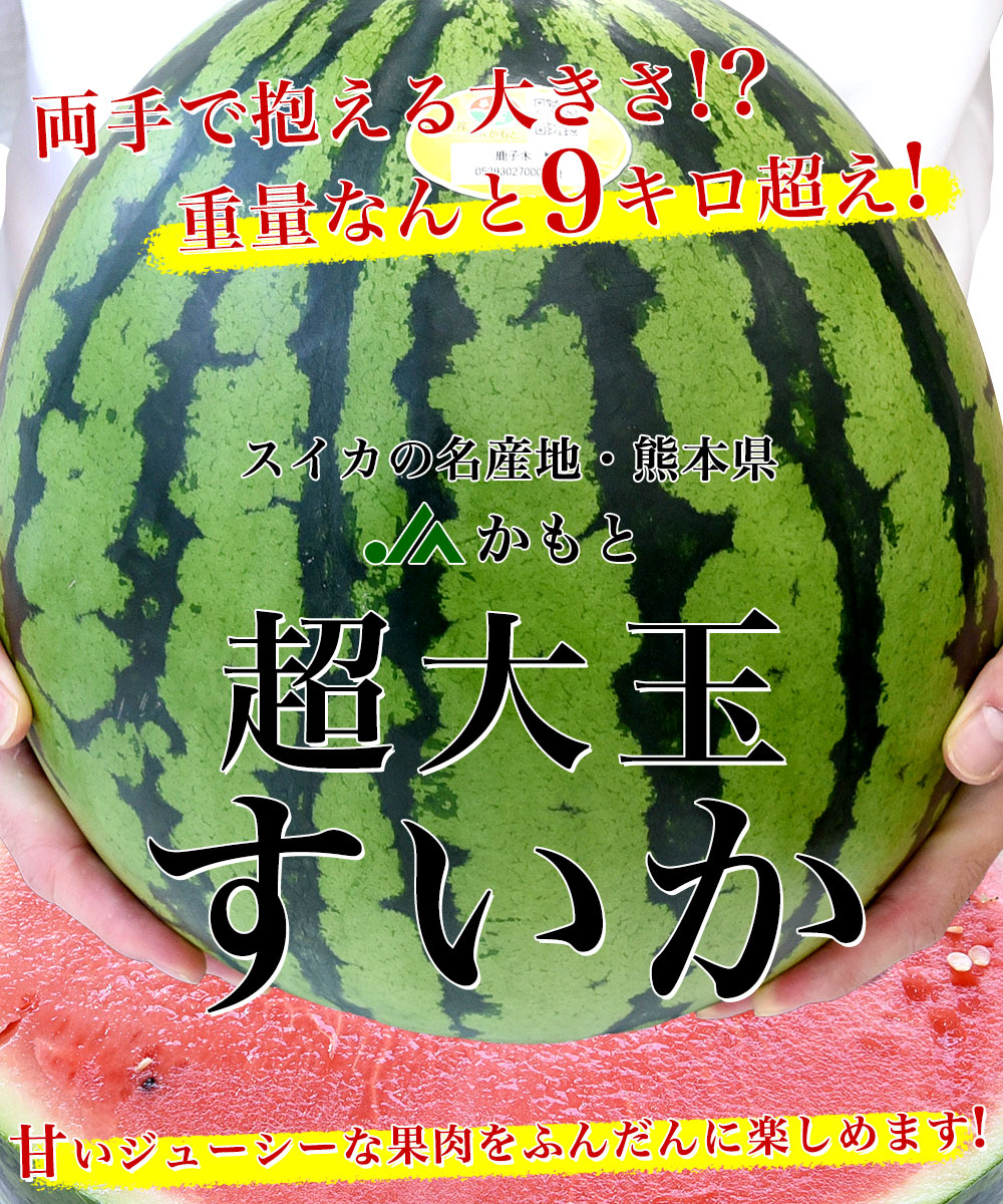 熊本県 JAかもと 大玉すいか 4Lサイズ 9キロ以上 1玉 秀品 スイカ すいか 西瓜 送料無料 市場発送 :9038902970:産直だより -  通販 - Yahoo!ショッピング