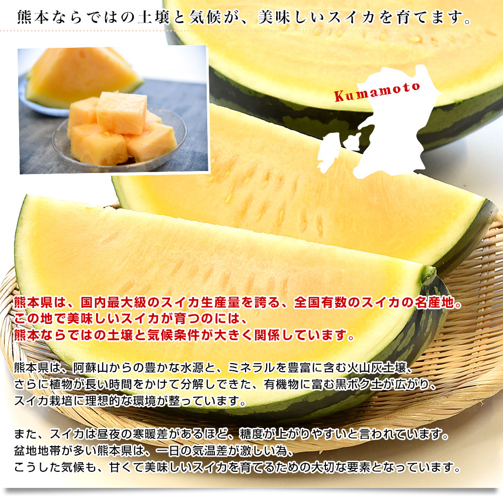 熊本県から産地直送 タネフリー組合 黄肉スイカ「金色羅皇