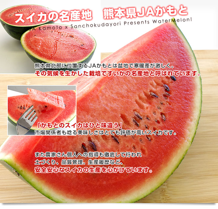 熊本西瓜の味比べ　2玉で7000gほど 熊本県産 JAかもと 夢黒小玉スイカ(ひとりじめBONBON) 4Lサイズ