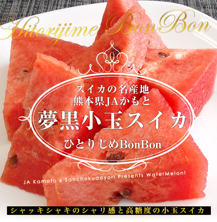 熊本県産 JAかもと 夢黒小玉スイカ(ひとりじめBONBON) 4Lサイズ