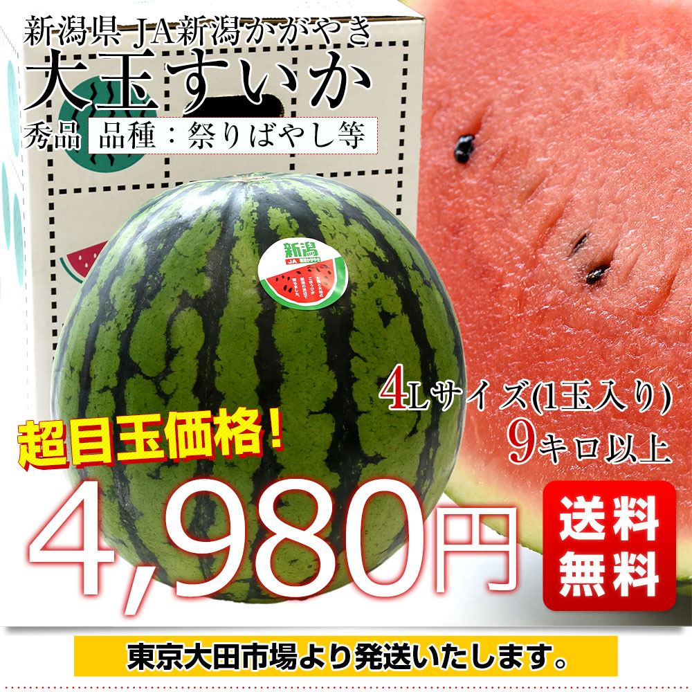 新潟県産 JA新潟かがやき 大玉すいか(祭りばやし等) 秀品 9キロ以上 4L