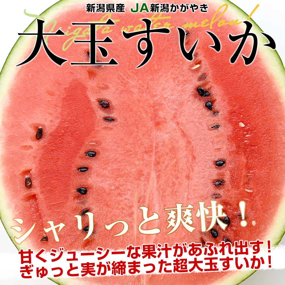 新潟県産 JA新潟かがやき 大玉すいか(祭りばやし等) 秀品 9キロ以上 4L