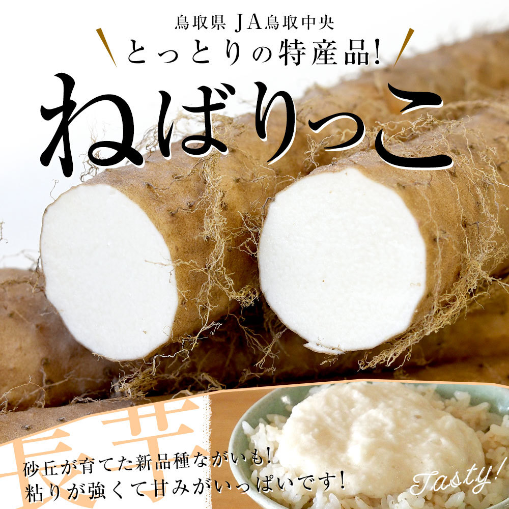 鳥取県より産地直送 JA鳥取中央 とっとりの特産品 新品種ながいも「ねばりっこ」（800g以上×3本入り） 送料無料 ナガイモ 長芋 とろろ  :4101632668:産直だより - 通販 - Yahoo!ショッピング