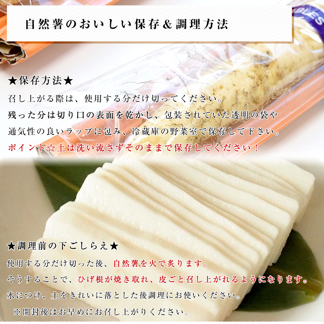 キャンペーン価格 自然薯 7キロ - 食品