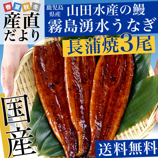 ギフトにも最適！ 鹿児島県志布志産 山田水産 霧島湧水うなぎ 長蒲焼き 大サイズ3尾セット（140g前後×3尾）送料無料 ギフト 夏ギフト お中元 御中元 |  | 01