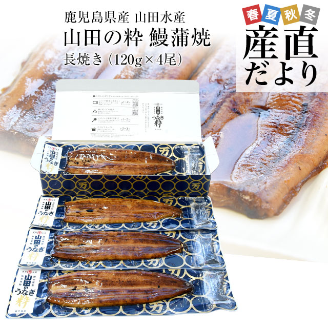 鹿児島県産 山田水産の極上国産うなぎ蒲焼「山田の粋(やまだのいき)」長焼(120g×4尾)送料無料 鰻蒲焼 ウナギ お中元 御中元 夏ギフト
