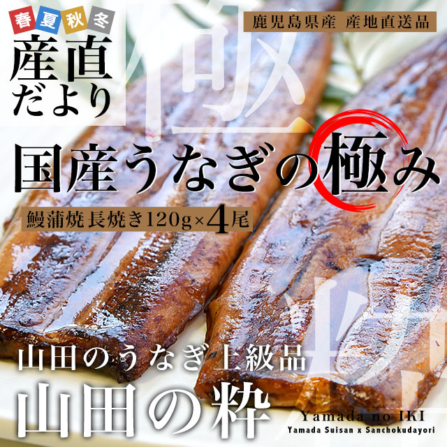 鹿児島県産 山田水産の極上国産うなぎ蒲焼「山田の粋（やまだのいき）」長焼（120g×4尾）送料無料 鰻蒲焼 ウナギ お中元 御中元 夏ギフト｜sanchokudayori｜02