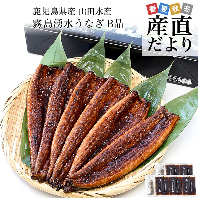 鹿児島県志布志産 山田水産 ご家庭向け 霧島湧水うなぎ B品 計700g（5尾から7尾詰め）送料無料 鰻師 加藤尚武さん シーフード｜産直だより