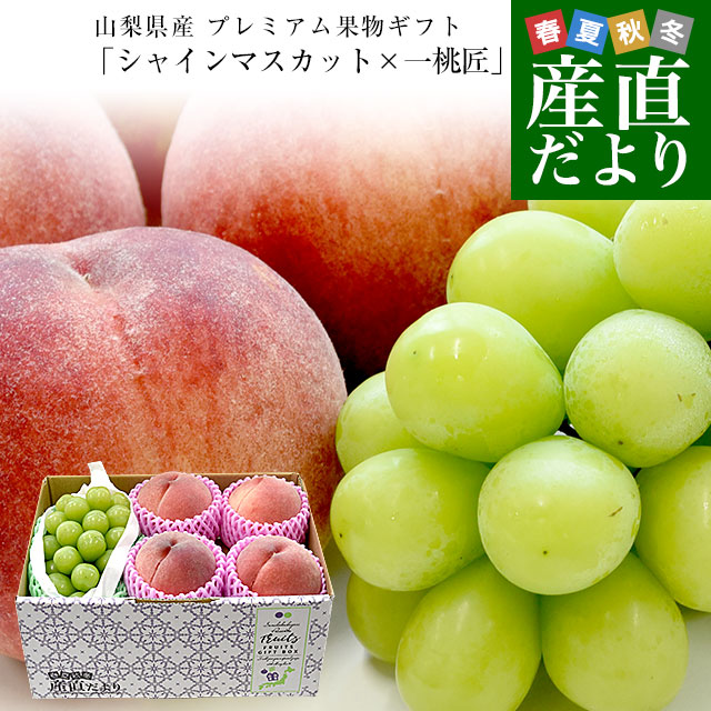 Yahoo! Yahoo!ショッピング(ヤフー ショッピング)山梨県産 プレミアム果物ギフト「シャインマスカット×一桃匠」 送料無料 フルーツ詰め合わせ もも ぶどう ハウスぶどう ギフト 夏ギフト お中元 御中元