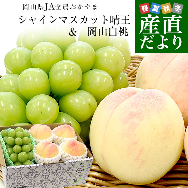 Yahoo! Yahoo!ショッピング(ヤフー ショッピング)岡山県 JA全農おかやま プレミアム果物ギフト 高級ハウス栽培シャインマスカット 晴王 1房＆岡山白桃エース４玉 送料無料 ギフト 夏ギフト お中元 御中元