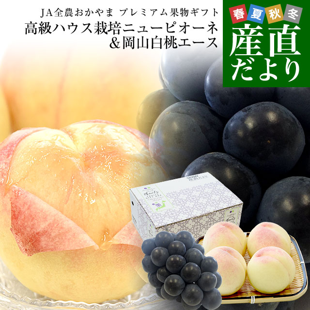 Yahoo! Yahoo!ショッピング(ヤフー ショッピング)岡山県 JA全農おかやま プレミアム果物ギフト 「高級ハウス栽培ニューピオーネ1房＆岡山白桃エース４玉」 大房　送料無料 ギフト　夏ギフト お中元　御中元