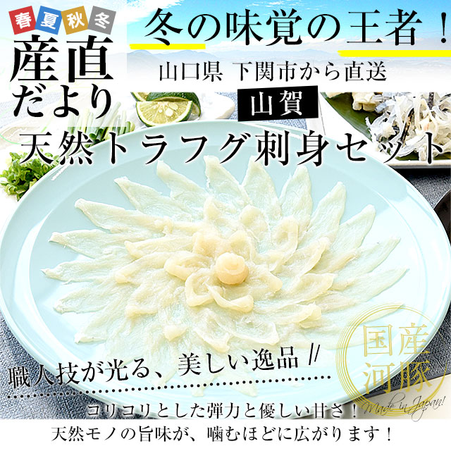 山口県下関市から直送 山賀 天然トラフグ刺身セット（刺身、皮刺し、ポン酢、もみじおろし）送料無料 河豚 ふぐ とらふぐ てっさ ※クール冷凍便 |  | 01