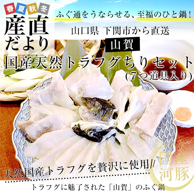 山口県下関市から産地直送 山賀 トラフグちり鍋セット（7つ道具入り） 国産天然トラフグちり(約400g) 送料無料 ふぐ ※クール冷凍便 |  | 01