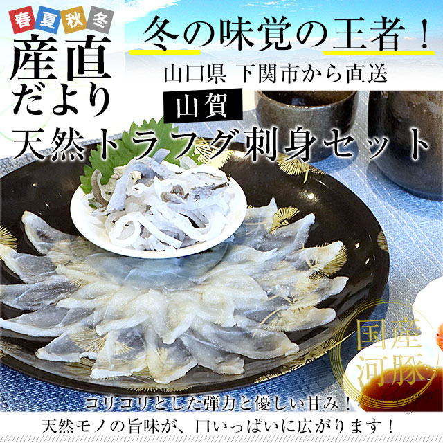 山口県下関市から直送 山賀 天然トラフグ刺身セット（刺身50g、皮刺し30g、ポン酢、もみじおろし）送料無料 河豚 ふぐ とらふぐ てっさ ※クール冷凍便 |  | 01
