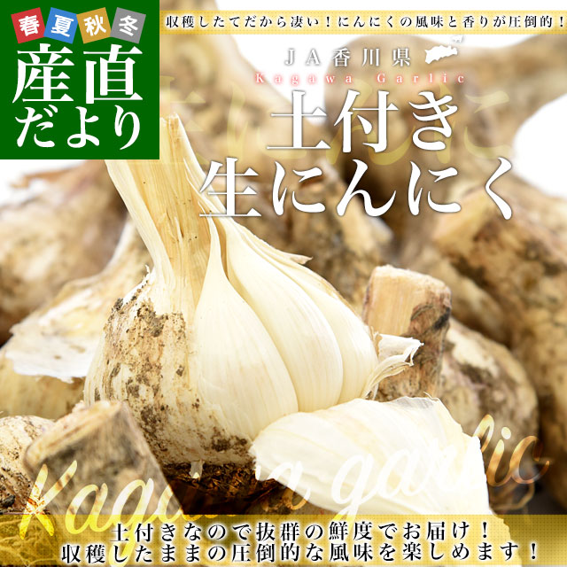 にんにく 商品一覧 - 産直だより - 売れ筋通販 - Yahoo!ショッピング