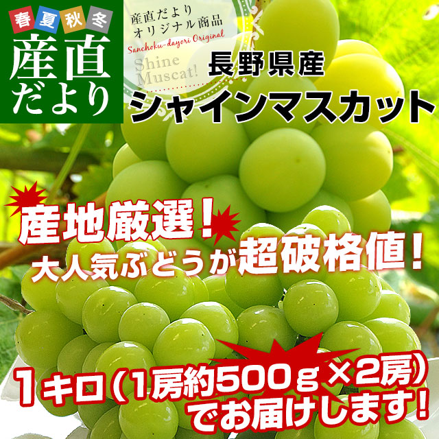 山梨県産ぶどう⭐️シャインマスカット⭐️訳あり品家庭用⭐️10房入り箱込み約5.6kg フルーツ ブドウ｜フルーツ｜食品 おすすめ人気商品 通販