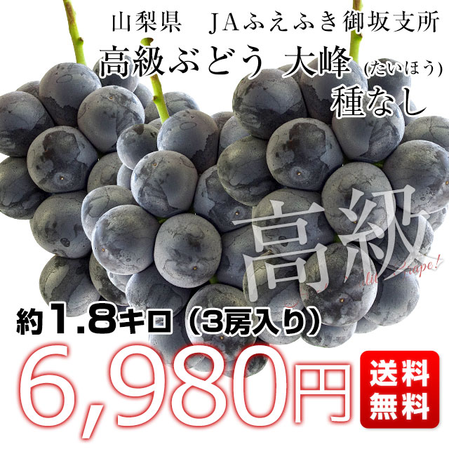 大竹山 規 【葡萄とからすうり】 （五 大竹山規 葡萄とからす