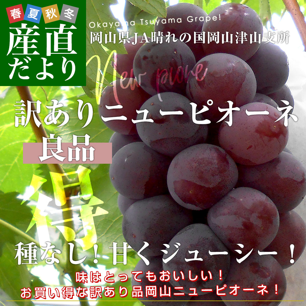 岡山県より産地直送 JA晴れの国岡山 津山支所...の詳細画像1