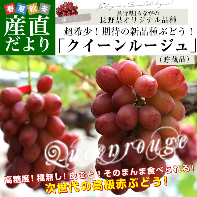 長野県 JAながの 新品種ぶどう クイーンルージュ (貯蔵品) 約1キロ(2房) 送料無料 ぶどう ブドウ 葡萄 赤ブドウ |  | 01