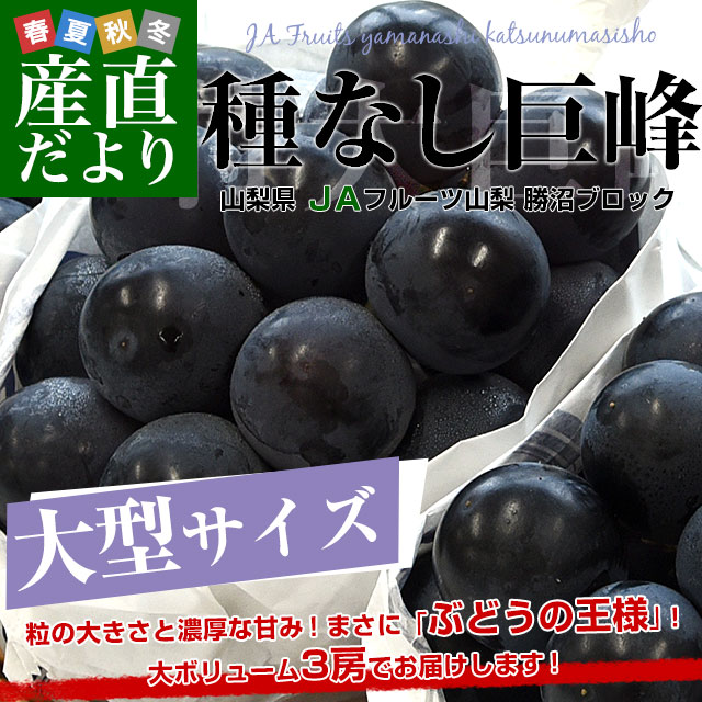 オーストラリア産　種無し黒ぶどう　5キロ ぶどう 岡山産 ”種なしニューピオーネ” 6〜8房 約5kg ちょっと訳