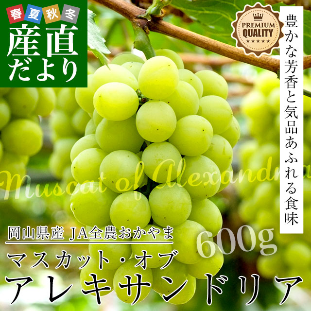 岡山県産 マスカット・オブ・アレキサンドリア 赤秀 大房 1房