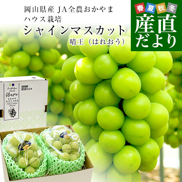 岡山県産JA全農おかやま ハウス栽培 シャインマスカット 晴王 青