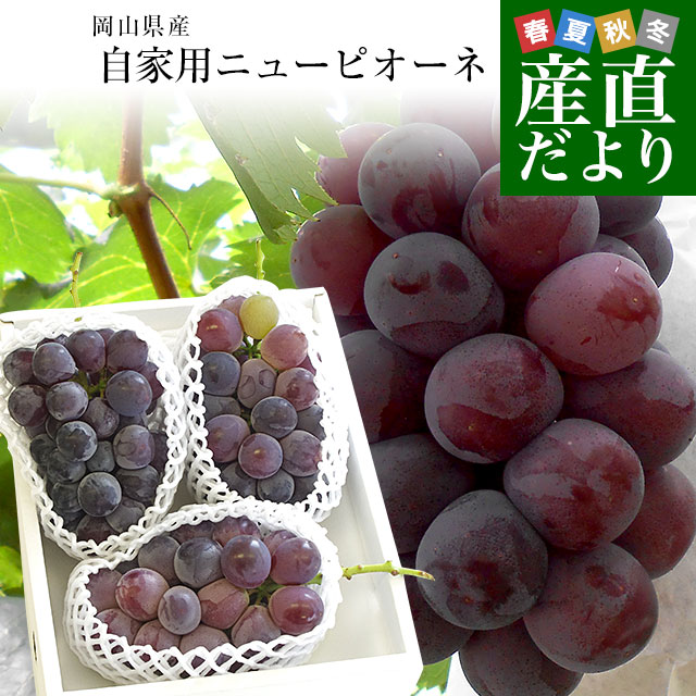 大量入荷の為、衝撃超お得価格！！岡山県産【ニューピオーネ】優品7〜8房 5kg 楽天市場】岡山産 ”種なしニューピオーネ” 優品 超大房 5〜6房