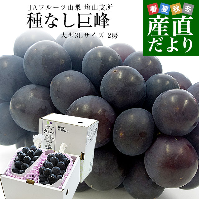 種なし ぶどう 黒」の人気商品一覧 | 安い商品を通販サイトから